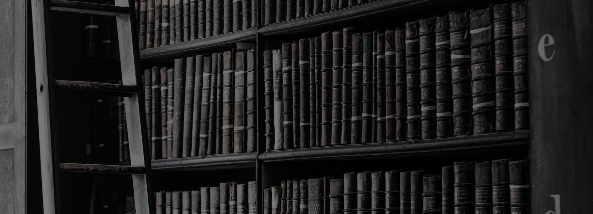 Books in a library with a ladder.