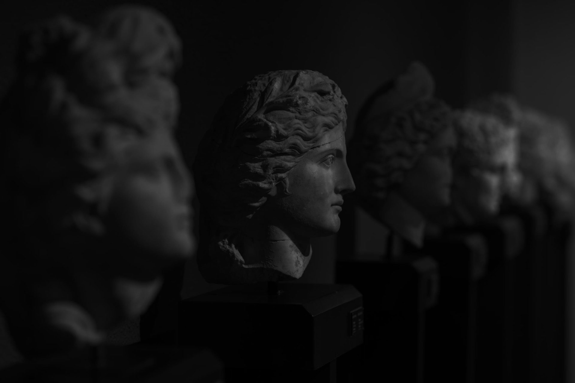 Busts of ancient roman persons.